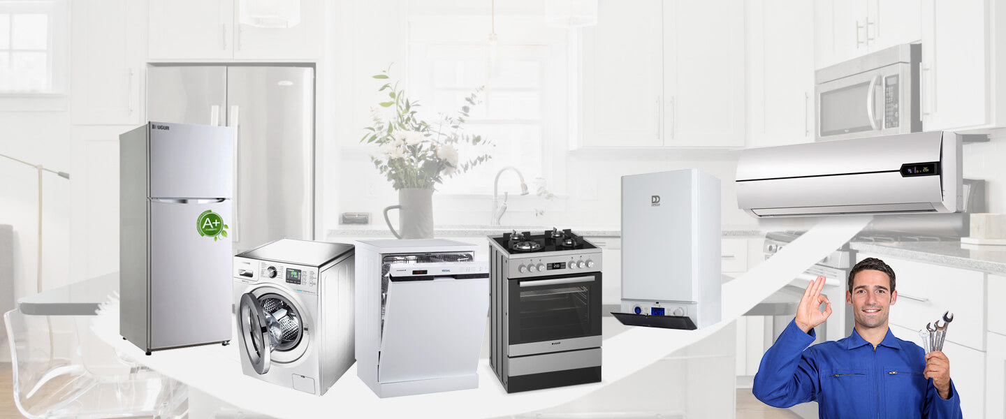 Delice Daikin Servisi
